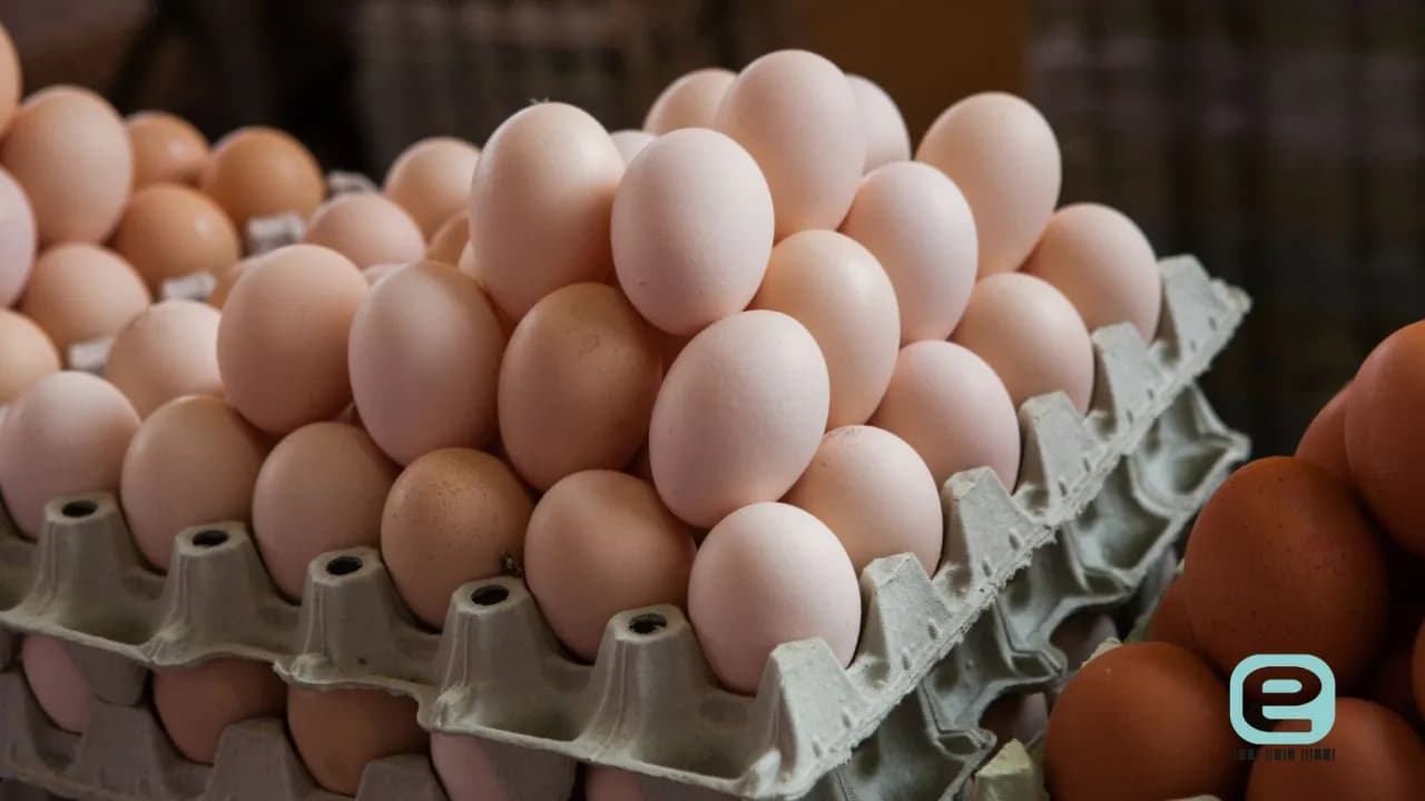 Wysypka po jajku u niemowlaka – co robić, aby złagodzić objawy?